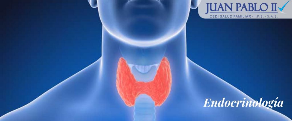 Endocrinología - IPS Juan Pablo II